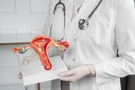 Genital Estetik